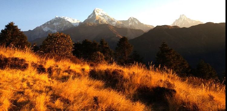 Poon Hill Trek (6 Days)