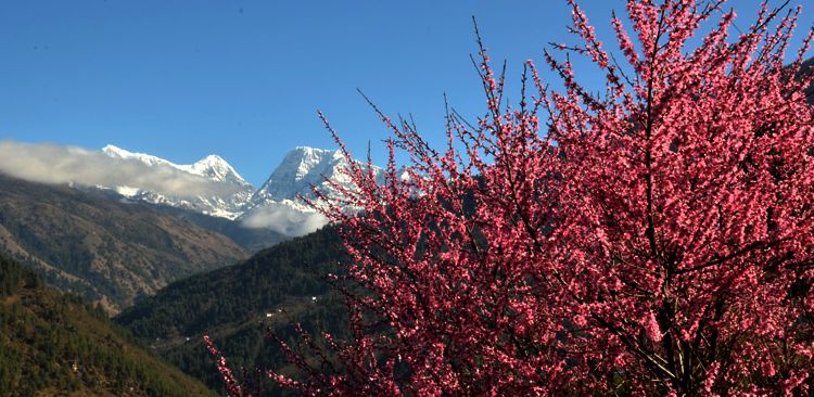 Numbur Himal view from Phaplu. 