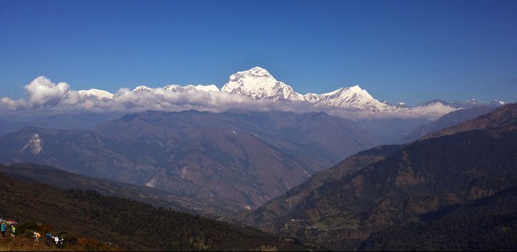 Amazing view of Mt. Dhaulagiri (8167 m) from Poon Hill 