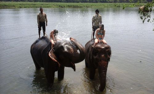 Chitwan Jungle Safari