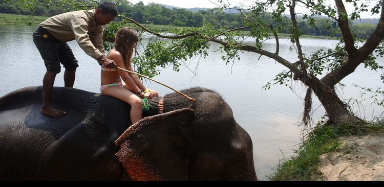 Chitwan Jungle Safari