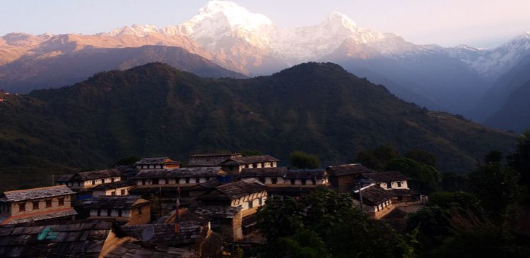 Traditionnel Gurung Village (Ghandruk) En Arrière Avec le Massif des Annapurnas. 