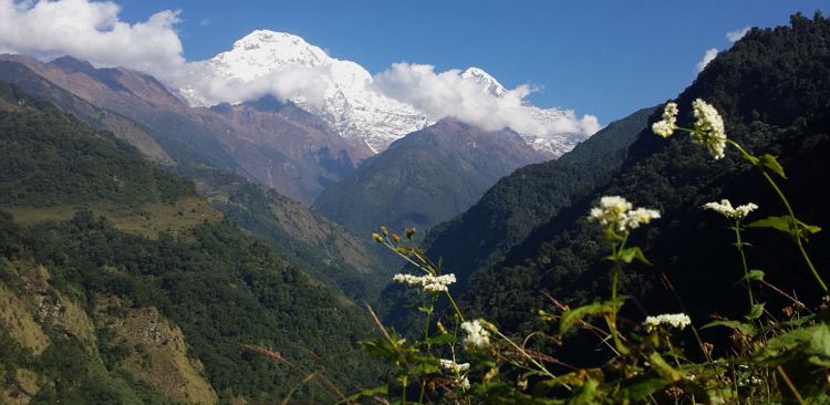 Depuis Landruk sur le massif des Annapurnas