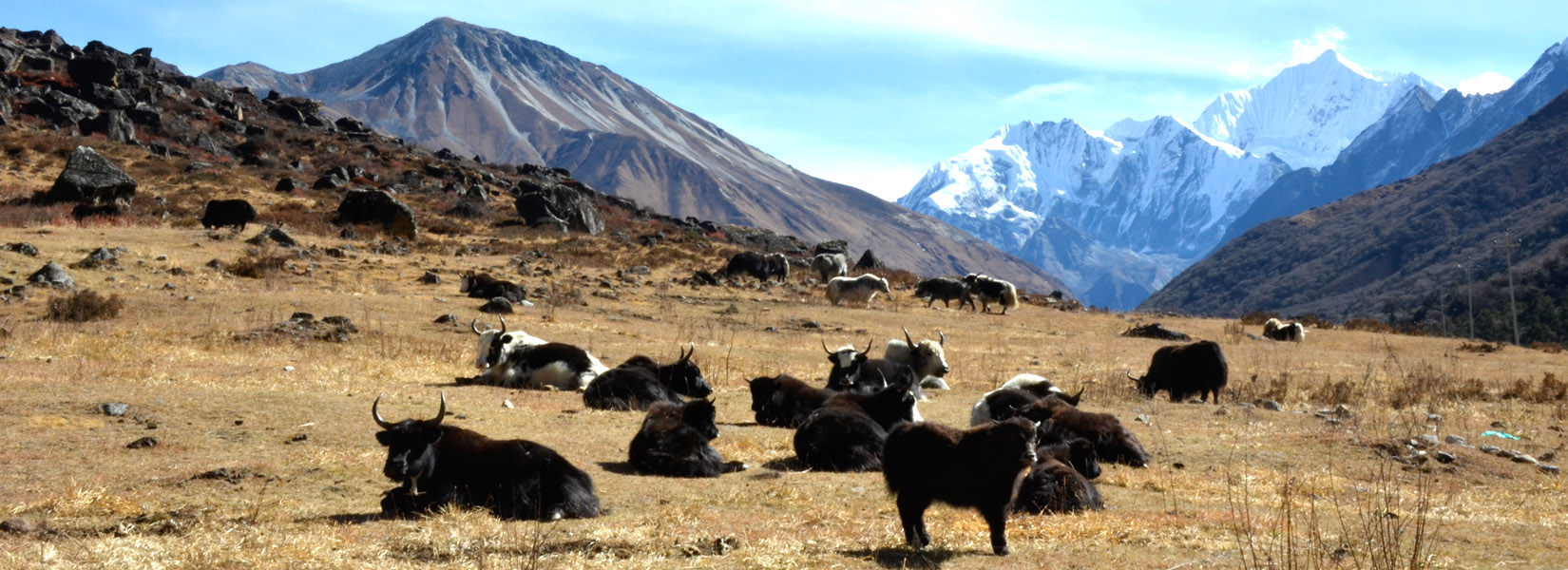 Trek de la vallée du Langtang