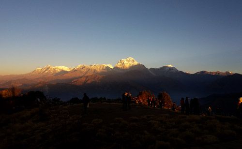 Le Dhaulagiri (8167 m) Depuis Poonhill (3210 m). 